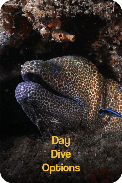 dayDiveMain Flexible Duration Hotel Bookings