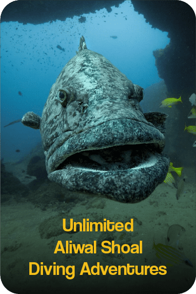 unlimitedAliwalDive